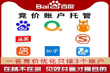 百度竞价代理操作手册：成功案例分析